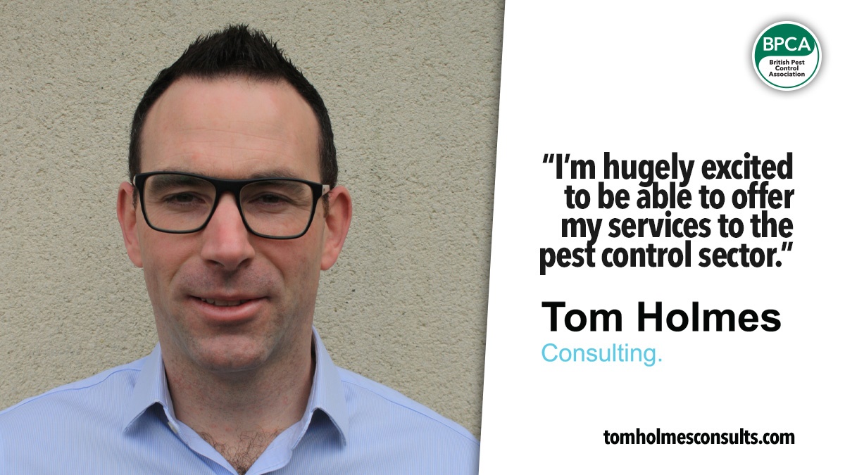 tom-holmes-consulting-hero